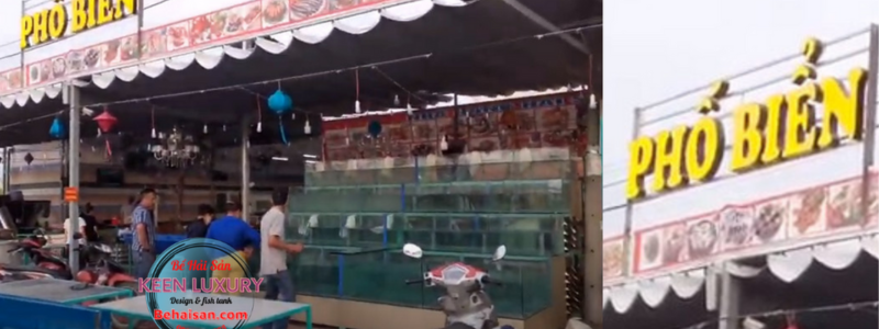 Thi công bể hải sản tại Tây Ninh